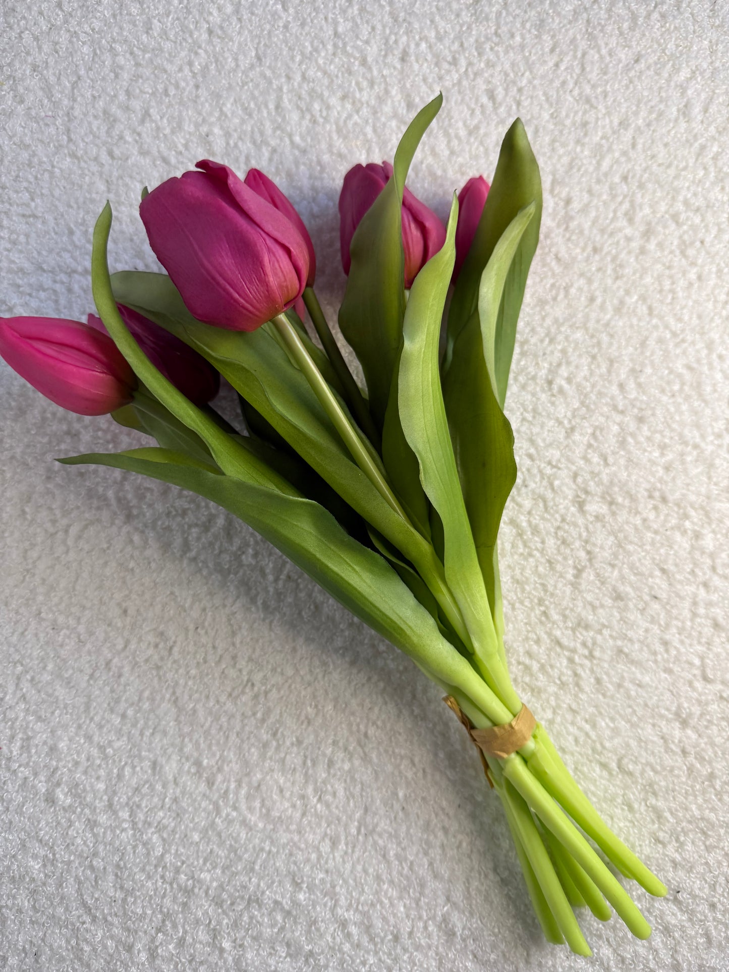 Tulpen fuchsia pink